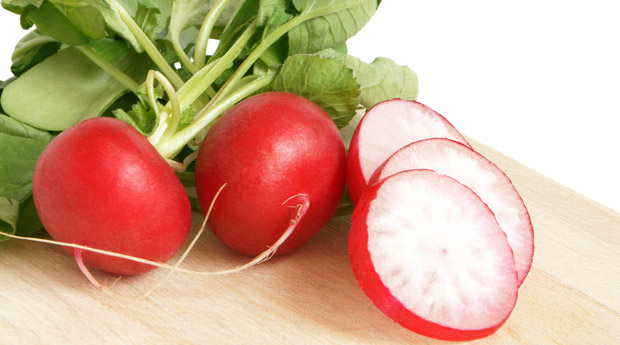 Редис – продукт полезный и простой, растет и развивается весной