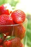 strawberry4.jpg