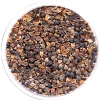 http://www.gurmania.ru/img/articles/product/greshka.jpg